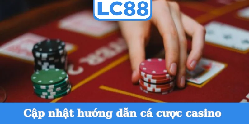 cap-nhat-huong-dan-ca-cuoc-casino