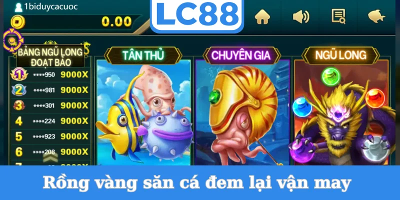 rong-vang-san-ca-dem-lai-van-may