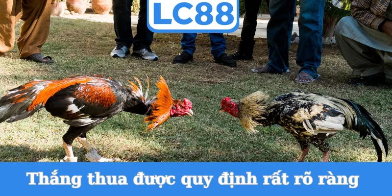 thang-thua-duoc-quy-dinh-rat-ro-rang